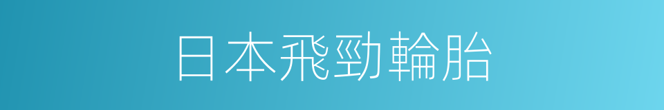 日本飛勁輪胎的同義詞