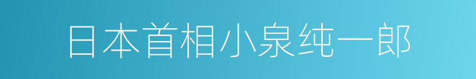 日本首相小泉纯一郎的同义词