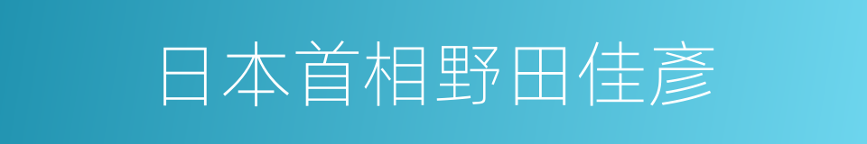 日本首相野田佳彥的同義詞