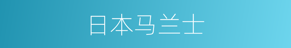 日本马兰士的同义词