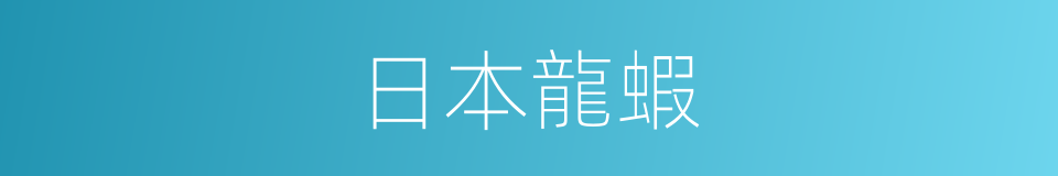 日本龍蝦的同義詞