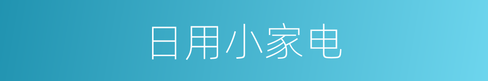 日用小家电的同义词