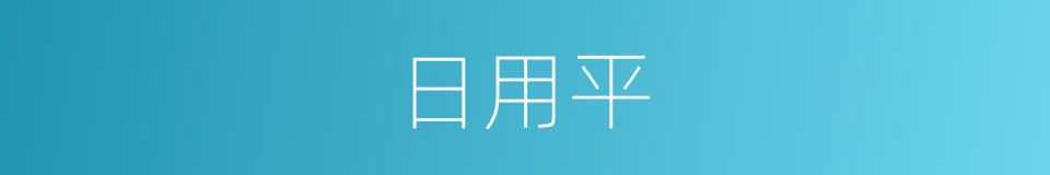 日用平的同义词