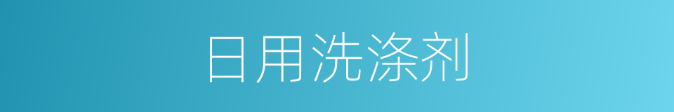 日用洗涤剂的同义词