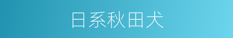 日系秋田犬的同义词