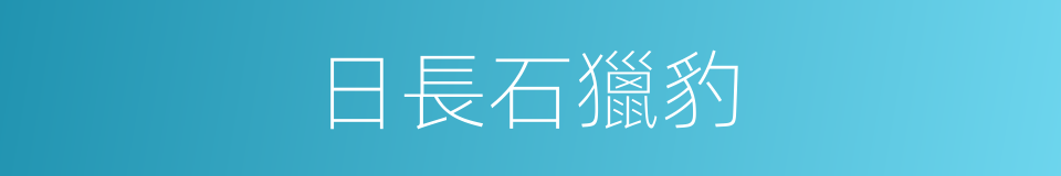 日長石獵豹的同義詞