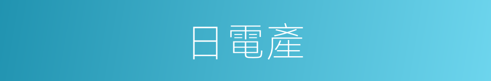 日電產的同義詞