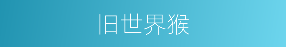 旧世界猴的同义词