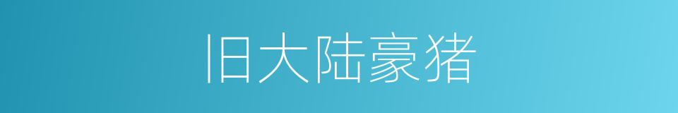 旧大陆豪猪的同义词