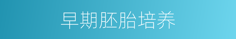 早期胚胎培养的同义词