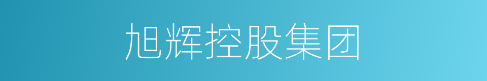 旭辉控股集团的同义词