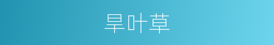 旱叶草的同义词