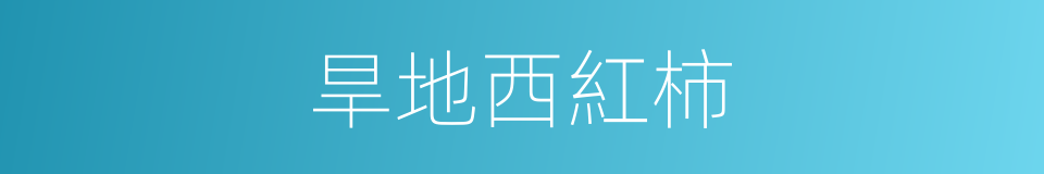 旱地西紅柿的同義詞