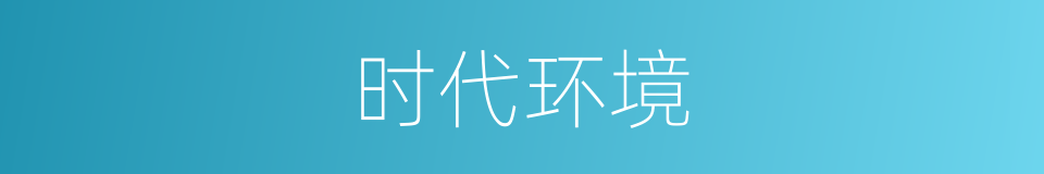 时代环境的意思