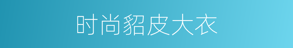时尚貂皮大衣的同义词