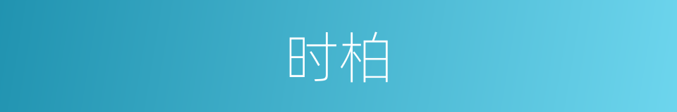 时柏的同义词