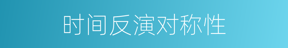 时间反演对称性的同义词