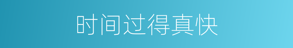 时间过得真快的同义词