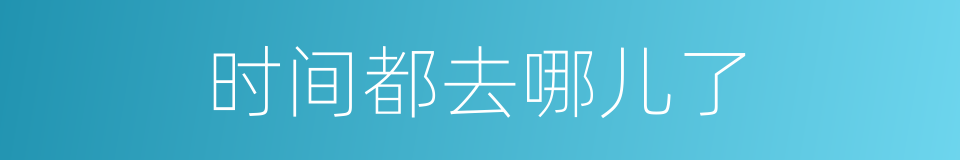 时间都去哪儿了的同义词