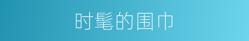 时髦的围巾的同义词