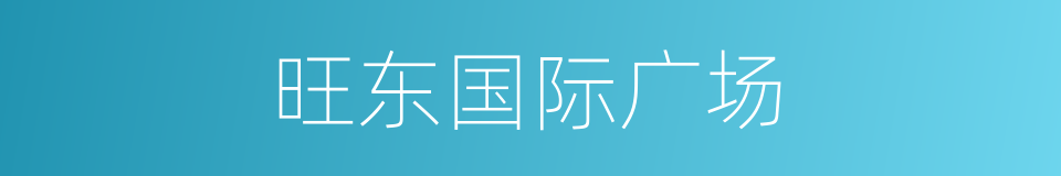 旺东国际广场的同义词