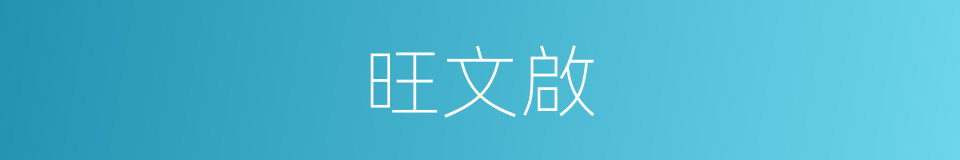 旺文啟的同義詞