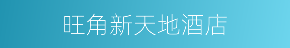 旺角新天地酒店的同义词