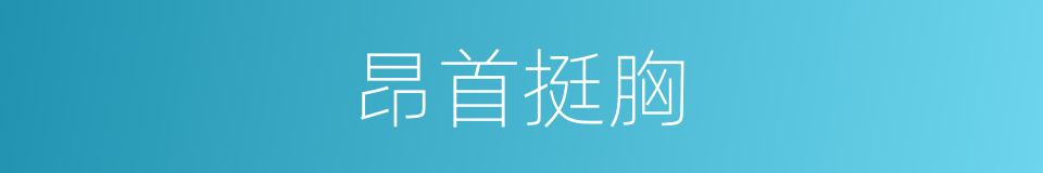 昂首挺胸的意思
