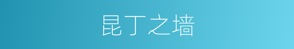 昆丁之墙的同义词