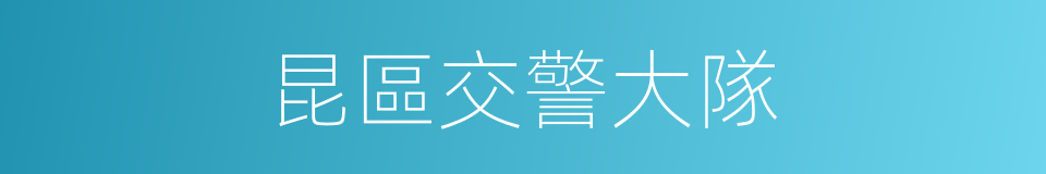 昆區交警大隊的同義詞