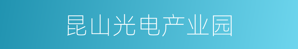 昆山光电产业园的同义词