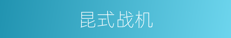 昆式战机的同义词