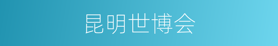 昆明世博会的同义词
