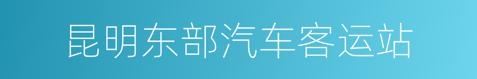 昆明东部汽车客运站的同义词