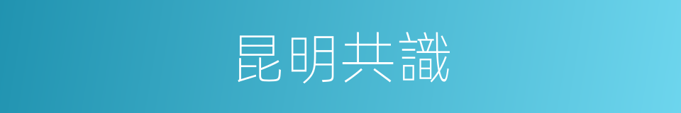 昆明共識的同義詞