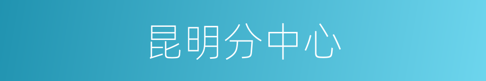 昆明分中心的同义词
