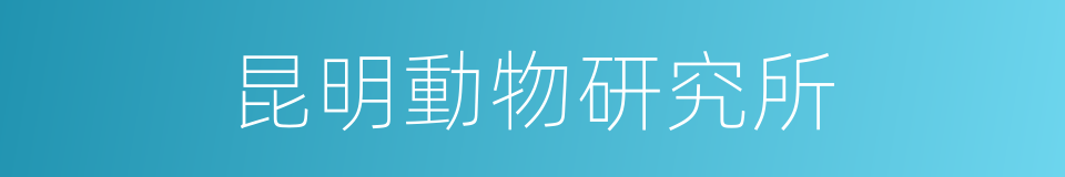 昆明動物研究所的同義詞