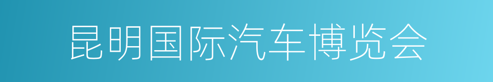 昆明国际汽车博览会的同义词