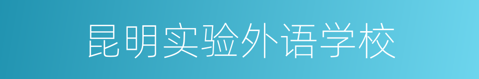 昆明实验外语学校的同义词