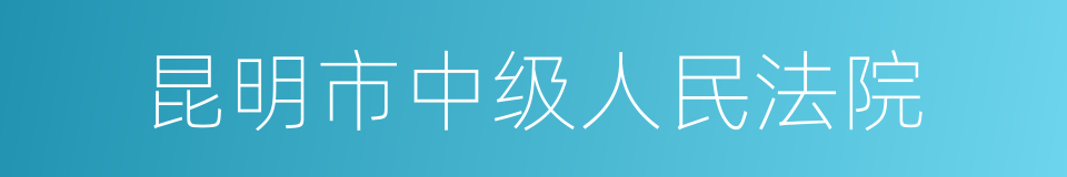 昆明市中级人民法院的同义词