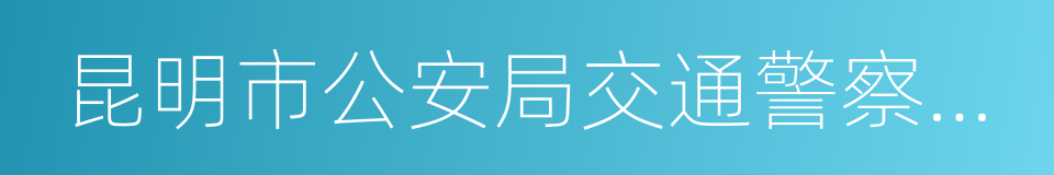 昆明市公安局交通警察支队的同义词