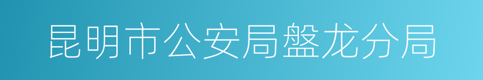 昆明市公安局盤龙分局的同義詞