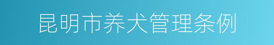 昆明市养犬管理条例的同义词