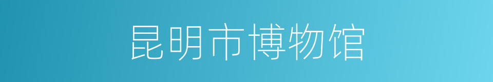 昆明市博物馆的同义词
