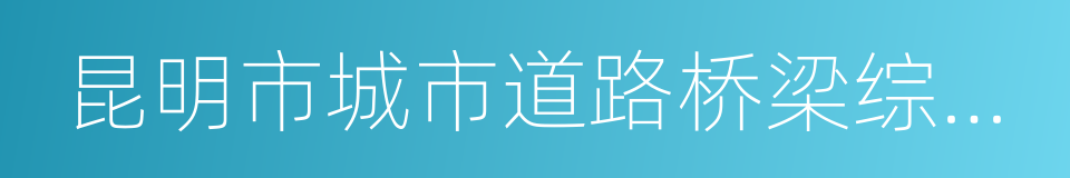 昆明市城市道路桥梁综合整治工作实施方案的同义词