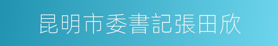 昆明市委書記張田欣的同義詞