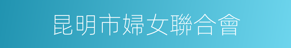 昆明市婦女聯合會的同義詞