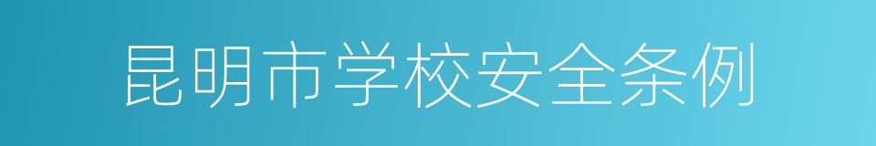 昆明市学校安全条例的同义词