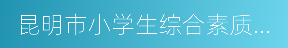 昆明市小学生综合素质评价手册的同义词