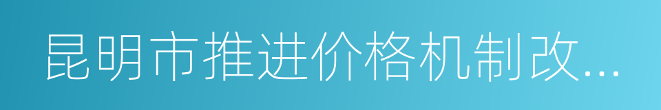 昆明市推进价格机制改革的实施方案的同义词